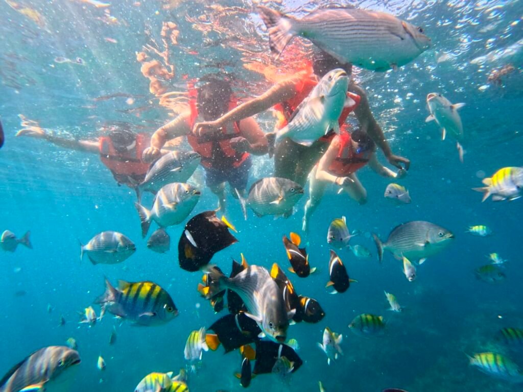 los-arcos-snorkeling-tour