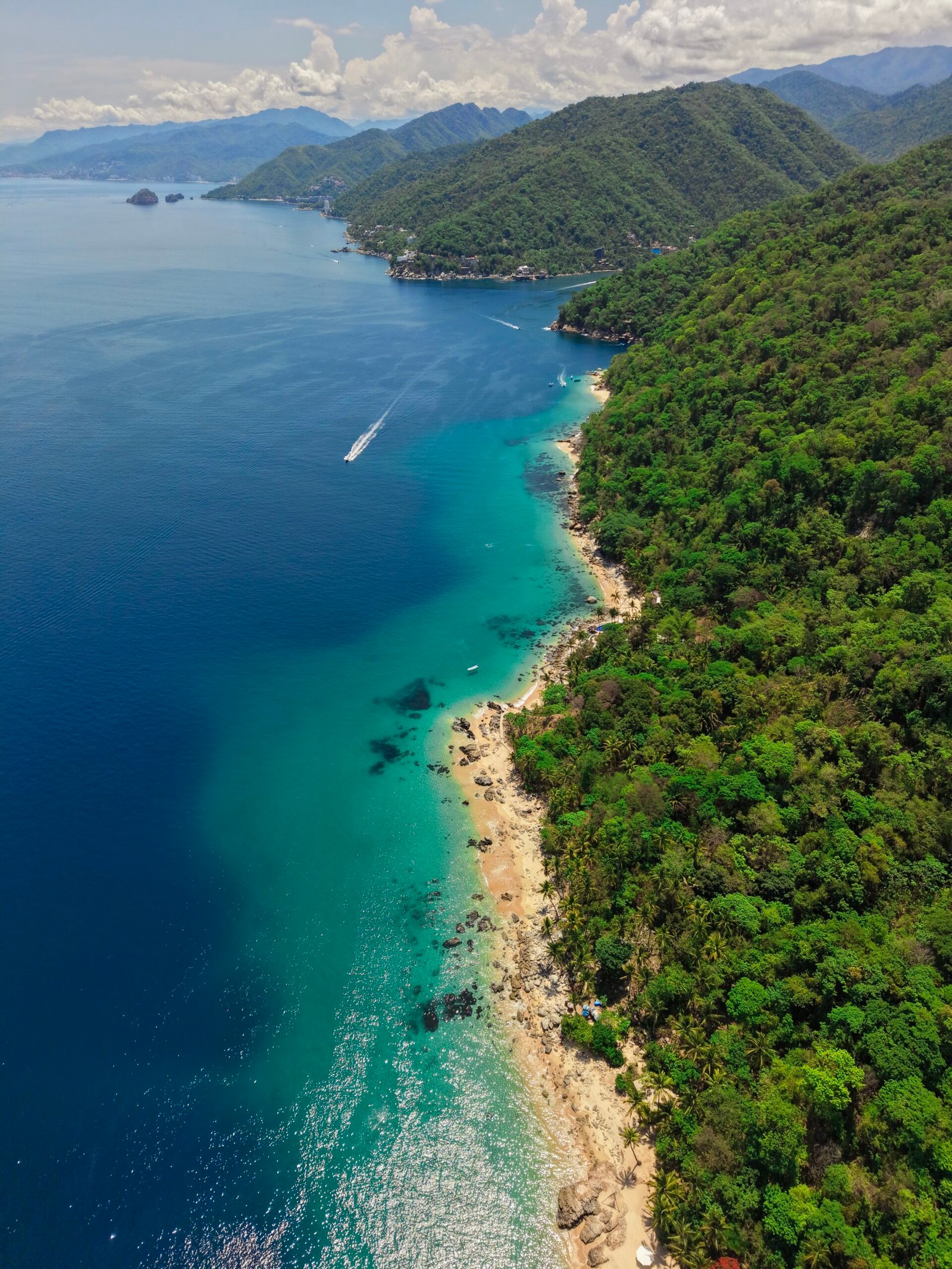 Puerto Vallarta coastline with city beaches and forested South Shore coves