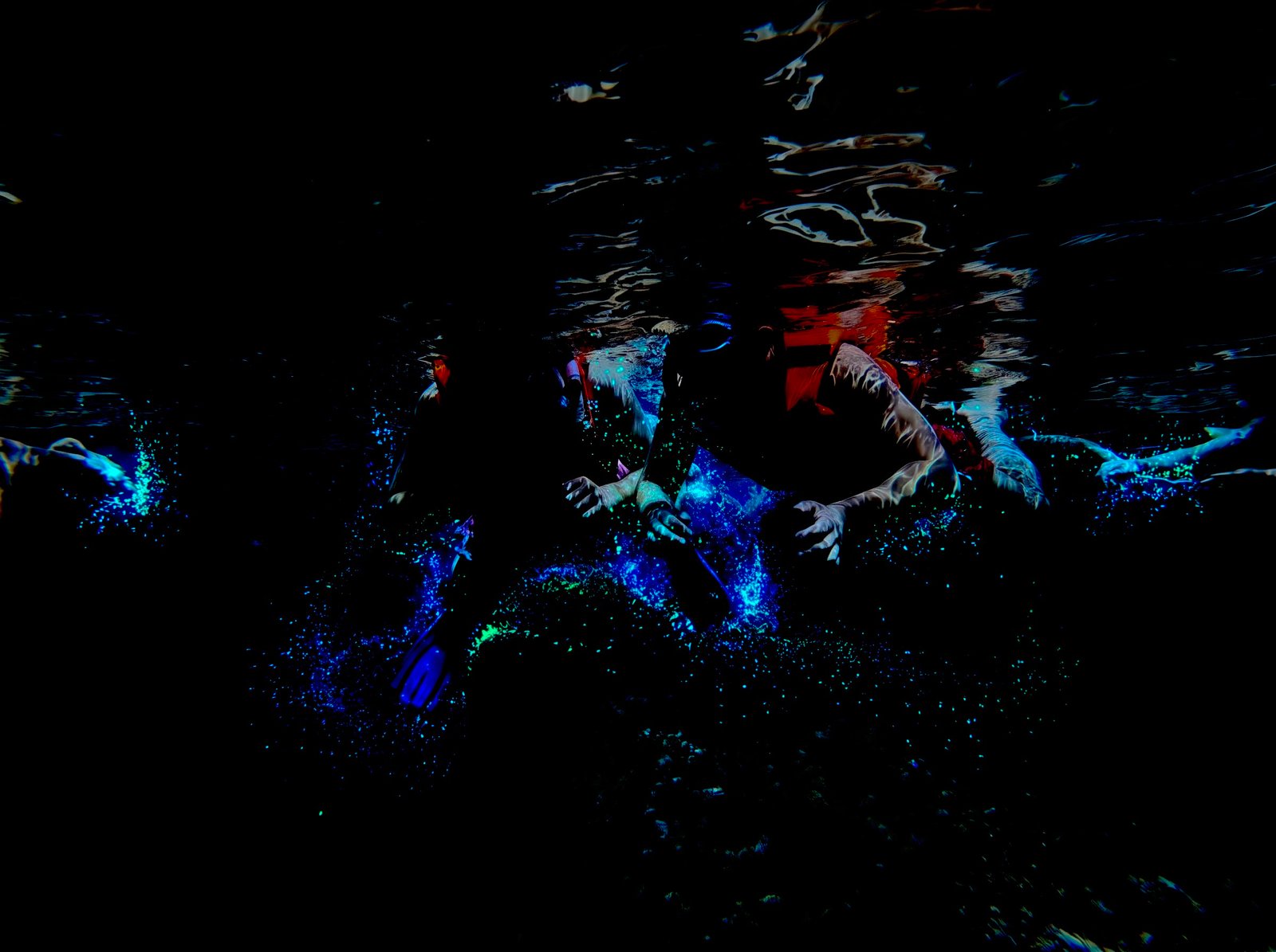 Blue bioluminescent water glowing near Los Arcos in Puerto Vallarta